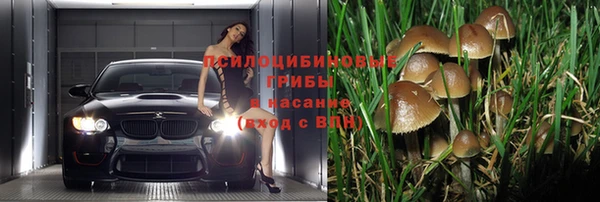spice Алексин