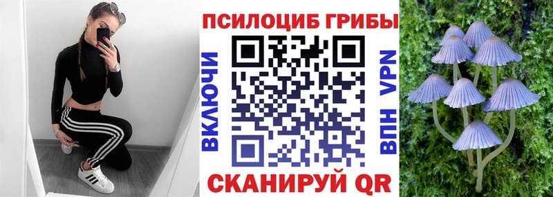 Галлюциногенные грибы Psilocybine cubensis  дарк нет телеграм  Осинники  цена  