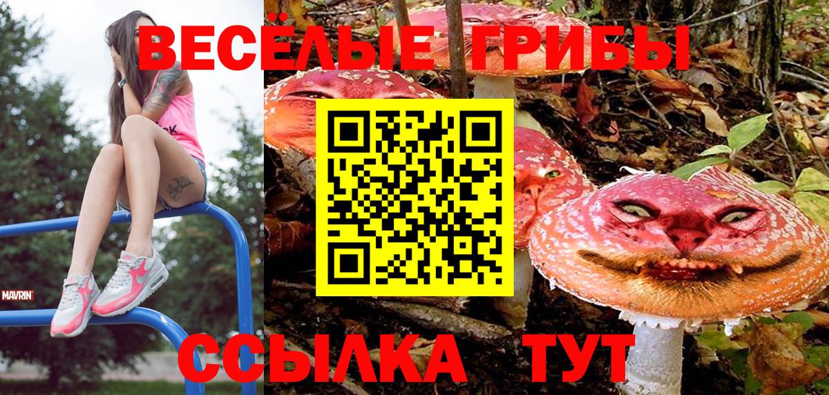 Меф МЯУ МЯУ   Осинники  Alpha-PVP СК кристаллы  Вход с VPN  ГАШ  Бошки Шишки  Cocaine 