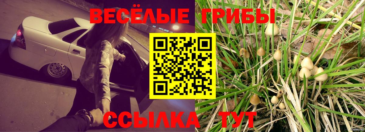 Галлюциногенные грибы мицелий  Вход с VPN  Осинники  Галлюциногенные грибы мицелий 
