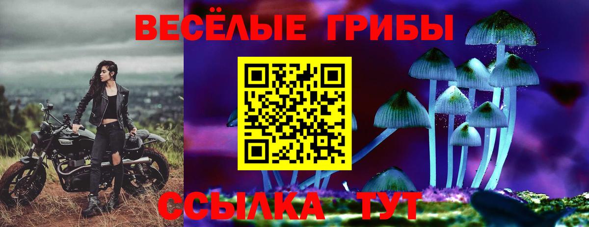 Галлюциногенные грибы Cubensis Осинники